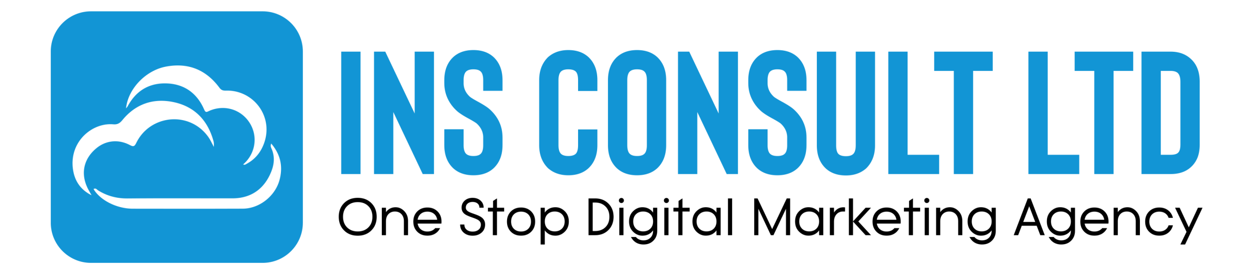 INS Consult Ltd